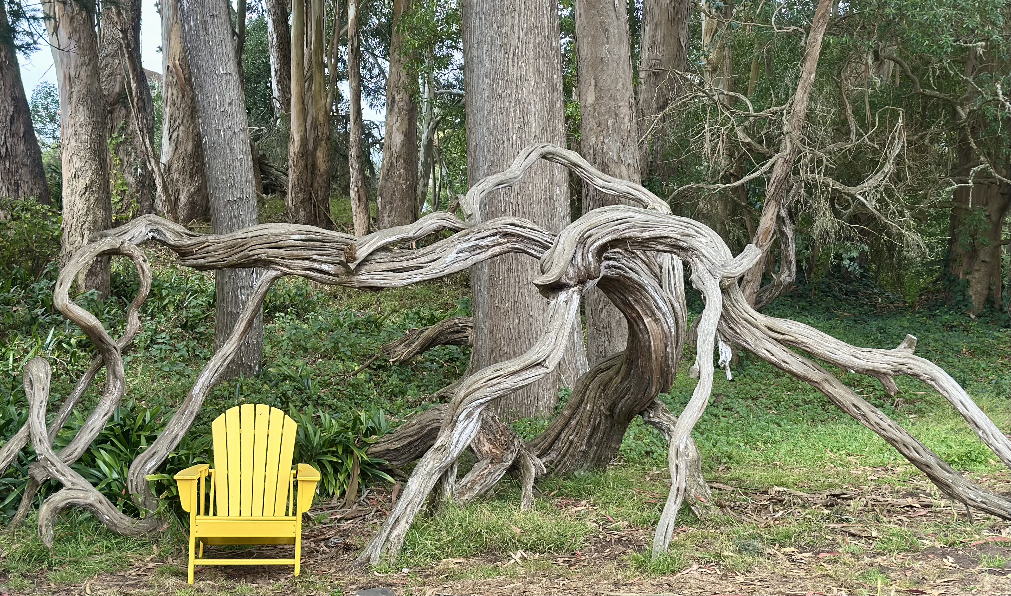 (37.7724512, -122.4667004) Cool chair at Golden Gate Park